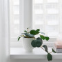 گل اویز قلبیFEJKA