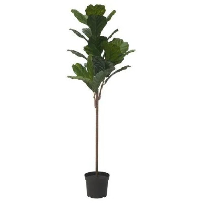 درختچه لیراتا FEJKA